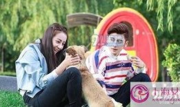 傲娇与偏见在线观看完整版,浪漫喜剧的甜蜜邂逅